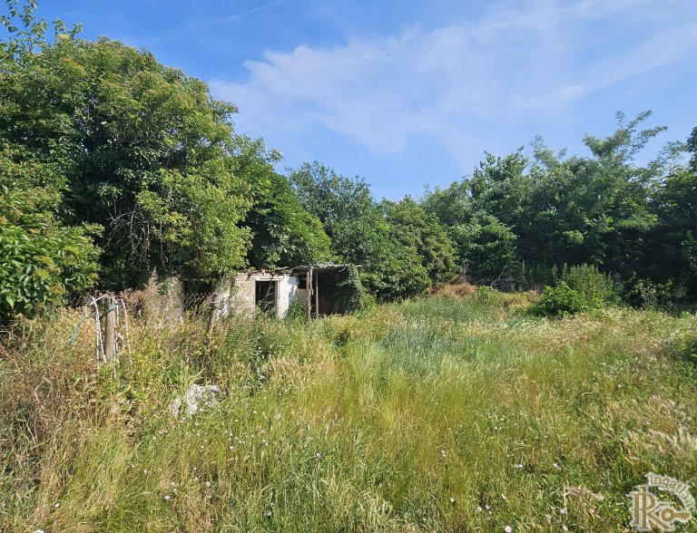 Sárbogárd, Dózsa György  67.