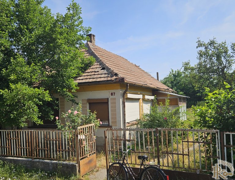 Sárbogárd, Dózsa György  67.