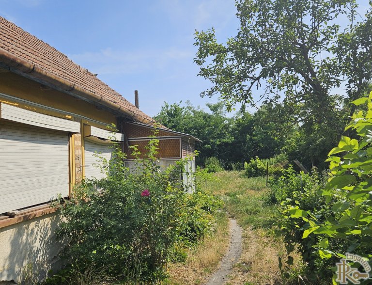 Sárbogárd, Dózsa György  67.