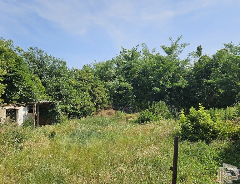 Sárbogárd, Dózsa György  67.