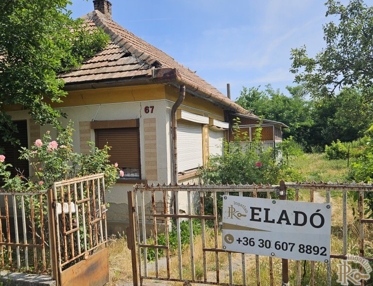 Sárbogárd, Dózsa György  67.