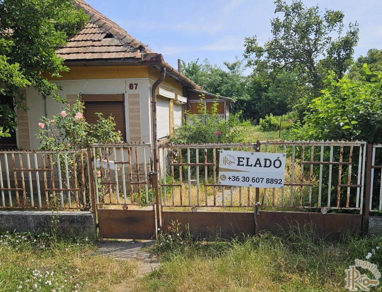 Sárbogárd, Dózsa György  67.