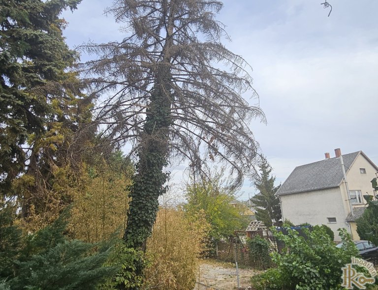 Kisbér, Szent Imre utca 19. Kisbér, Szent Imre utca 19.